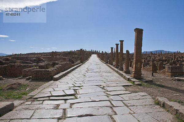 Die römischen Ruinen von Timgad  Unesco Weltkulturerbe  Algerien  Afrika