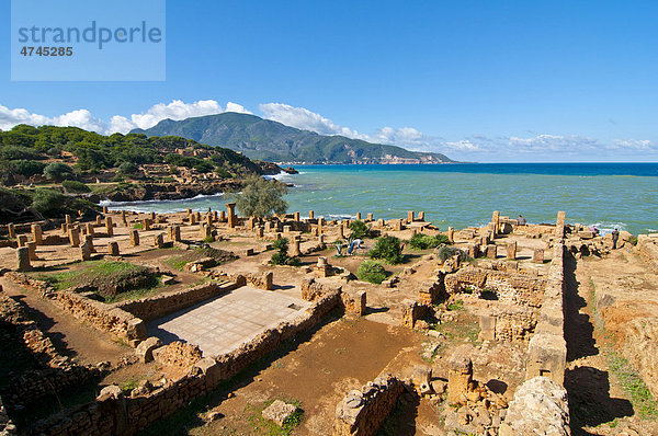 Die römischen Ruinen von Tipasa  Unesco Weltkulturerbe  Algerien  Afrika