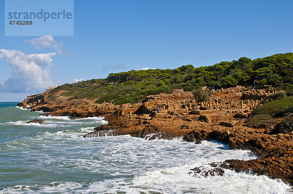 Die römischen Ruinen von Tipasa  Unesco Weltkulturerbe  Algerien  Afrika