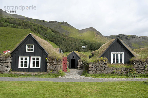 Alte Holzhäuser mit Grasdach  Freilichtmuseum SkÛgar  Skogar  Island  Skandinavien  Nordeuropa  Europa