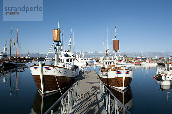 Steg  alte Fischerboote  heute Walbeobachtungsboote im Hafen von H_savÌk  Husavik  Island  Skandinavien  Nordeuropa  Europa