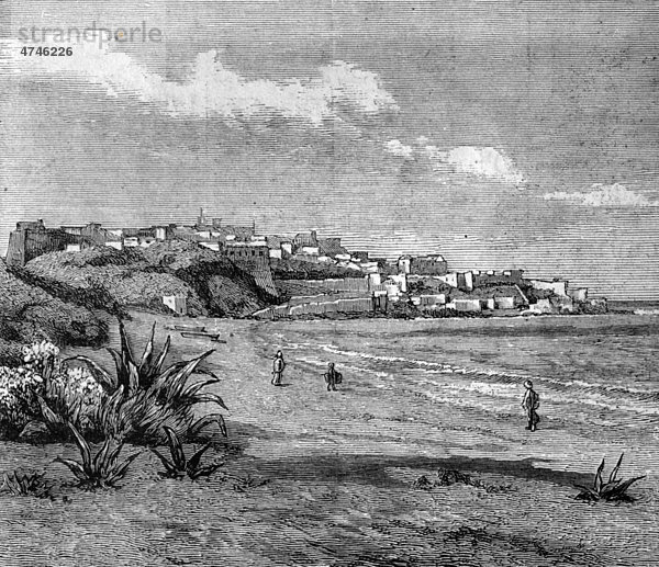 Die Bucht von Tanger  Marokko  historische Illustration  1883