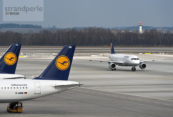 Lufthansa-Flugzeuge stehen am Terminal 2 während dahinter der Lufthansa Airbus A 320-200 Ludwigshafen am Rhein zum Terminal rollt  Flughafen München  Bayern  Deutschland  Europa