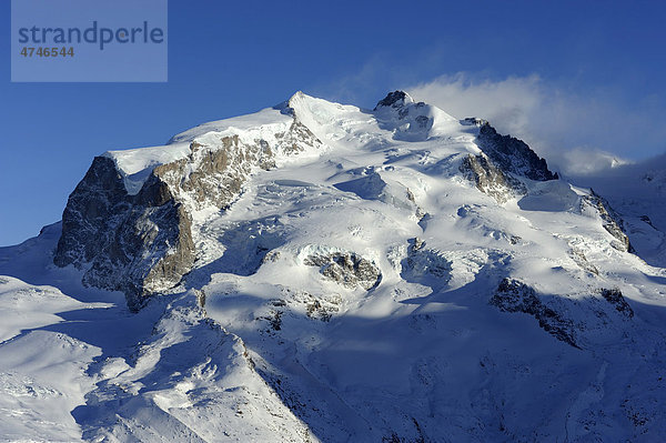 Monte Rosa Gebirge mit dem höchsten Berg der Schweiz  der Dufourspitze  Zermatt  Wallis  Schweiz  Europa