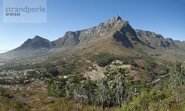 Tafelberg Panorama  Blick vom Lion's Head Berg  Kapstadt  Südafrika  Afrika  Afrika