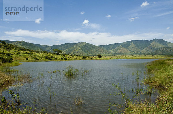 Wasserreservoir im Norden des Mkomazi Nationalpark  Tansania  Afrika