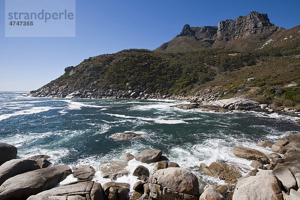 Logies Bay  Küstenstreifen südlich von Kapstadt  Südafrika  Afrika