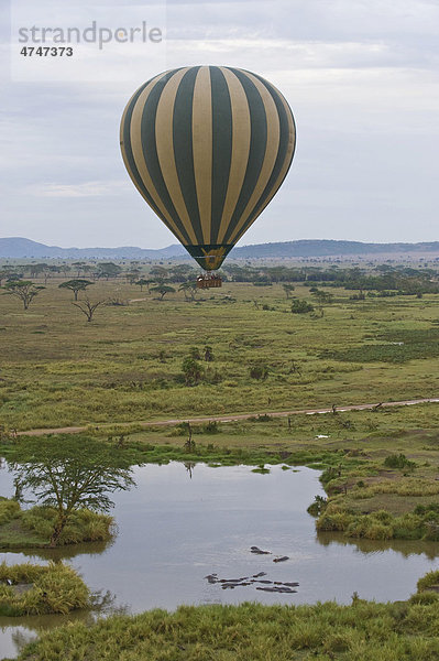 Heißluftballonfahrt über dem Serengeti-Nationalpark  UNESCO Weltnaturerbe  Tansania  Afrika