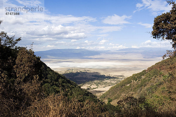 Blick in den Ngorongoro Krater  Serengeti-Nationalpark  UNESCO Weltnaturerbe  Tansania  Afrika
