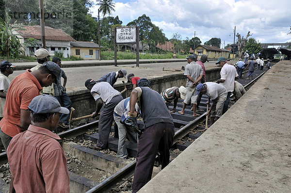 Wartungsarbeiten an Eisenbahnschienen  Bahnhof in Ragama  Sri Lanka  Ceylon  Asien
