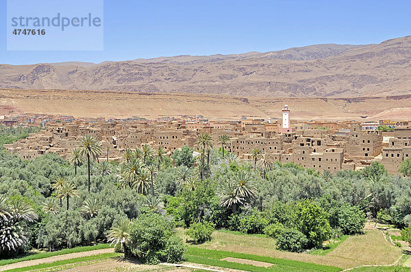 Teilweise verfallene Häuser in der Oasenstadt Tinerhir  Region Souss-Massa-Dara‚  Marokko  Afrika