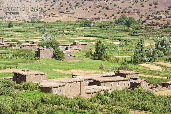 Flusstal mit Feldern und einem kleinen Dorf der Berber im Hohen Atlas  die Häuser sind aus Stampflehm errichtet  Ait Bouguemez-Tal  Hoher Atlas  Marokko  Afrika