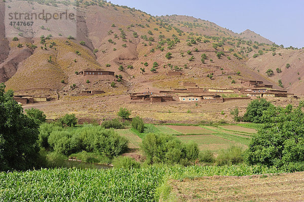 Berglandschaft  Flusstal mit Feldern und einem kleinen Dorf der Berber im Hohen Atlas  die Häuser sind aus Stampflehm errichtet  Ait Bouguemez-Tal  Hoher Atlas  Marokko  Afrika