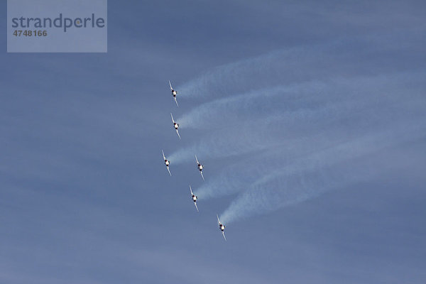 Formationsanflug der Patrouille Suisse mit der Northrop F-5E Tiger II bei der Gebirgs-Flugschau der Schweizer Luftwaffe auf der Axalp  Ebenfluh  Interlaken  Bern  Schweiz  Europa