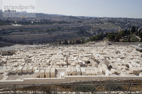 Alter jüdischer Friedhof auf dem Ölberg  Jerusalem  Israel  Naher Osten  Vorderasien