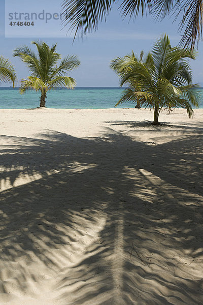Schatten einer Palme auf einem leeren Strand  Insel Ko Lipe  Tarutao-Nationalpark  Thailand  Asien