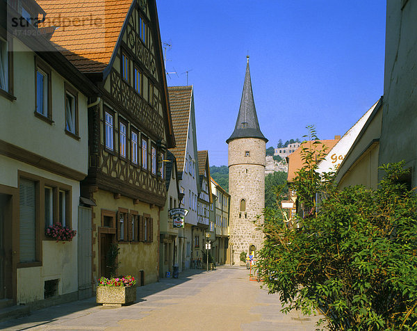 Karlstadt am Main  Unterfranken  Franken  Bayern  Deutschland  Europa