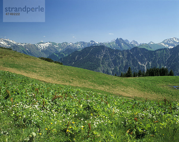 Vom Fellhorn zum Höfats  Allgäu  Bayerisch Schwaben  Bayern  Deutschland  Europa