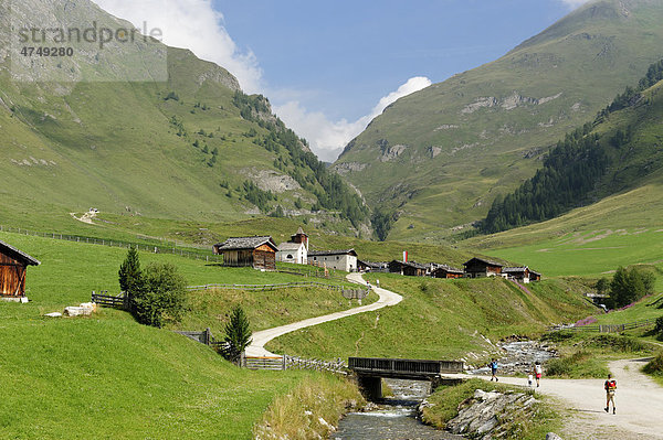 Fanealm  Fane Alm  Valsertal  Pustertal  Pfunderer Berge  Südtirol  Italien  Europa