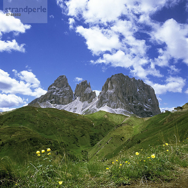 Langkofel  Sellajoch  Dolomiten  Südtirol  Italien  Europa