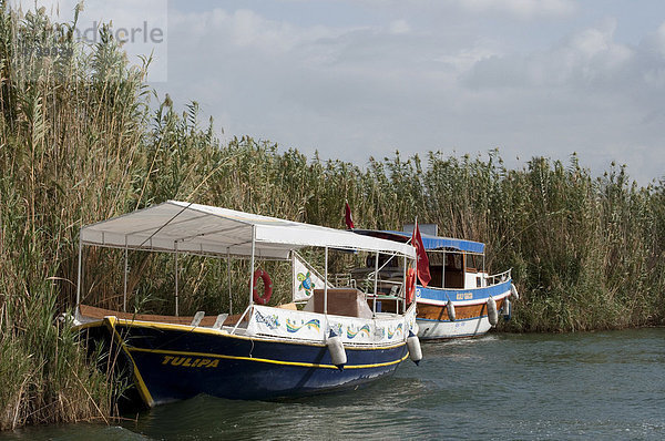 Boote auf der Lagune von Dalyan  Lykien  Türkei  Asien