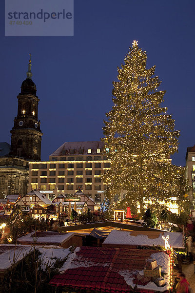 Weihnachtsbaum auf dem Striezelmarkt  Weihnachtsmarkt  Altmarkt  Dresden  Sachsen  Deutschland  Europa
