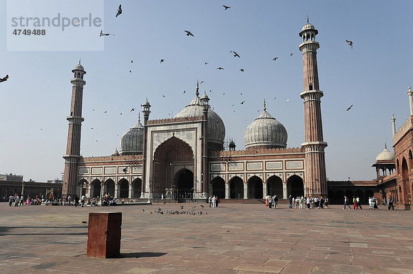Teilansicht Jama Masjid  Freitagsmoschee  Delhi  Nordindien  Asien