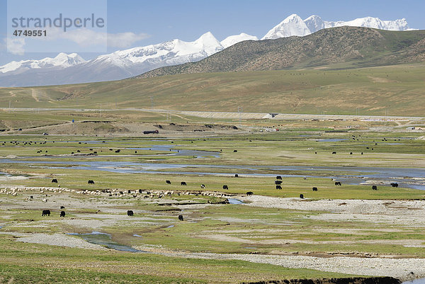 Schneebedeckte Gipfel des Nyenchen Thanglha Gebirges  Tibet  China  Asien