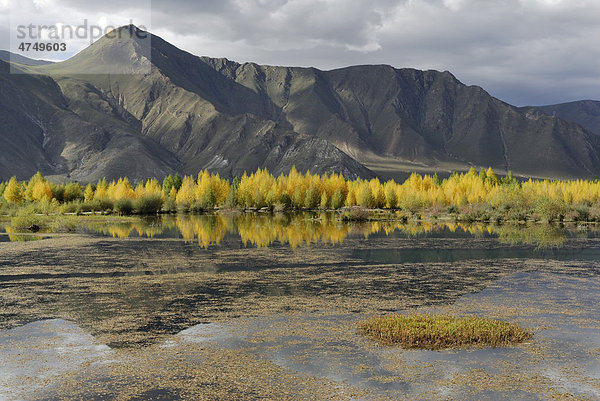 Berglandschaft am Kyichu Fluss nahe Lhasa  Tibet  China  Asien