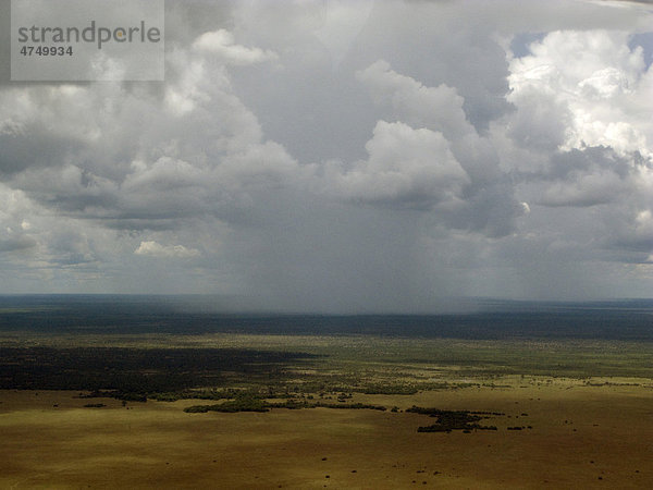 Regenschauer über der afrikanischen Landschaft  Afrika