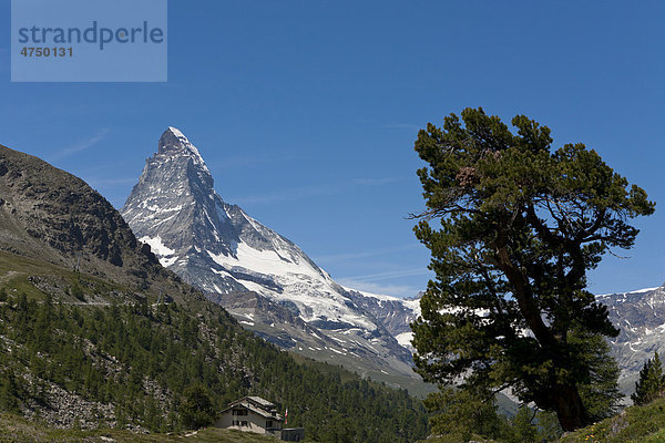 Matterhorn  Zermatt  Graubünden  Schweiz  Europa