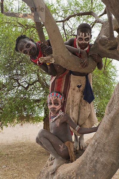 Drei Karo Kinder mit Gesichtsbemalung in einem Baum  Omo-Tal  Südäthiopien  Äthiopien  Afrika