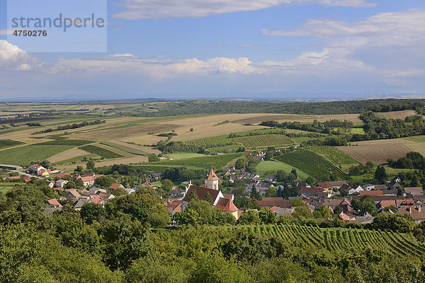 Blick auf den Ort  Falkenstein  Niederösterreich  Österreich  Europa