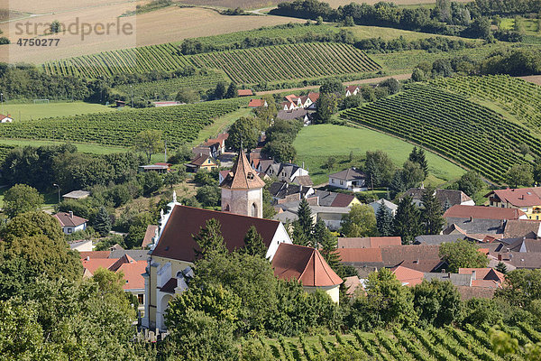 Kirche und Kellergasse  Falkenstein  Niederösterreich  Österreich  Europa