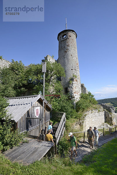 Ruine von Falkenstein  Niederösterreich  Österreich  Europa