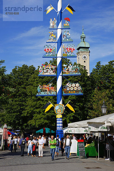 Maibaum am Viktualienmarkt mit Heiliggeistkirche  München  Bayern  Deutschland  Europa