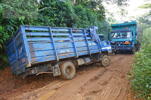 In Schlamm festgefahrener Lastwagen wird von anderen LKW herausgezogen  Urwald-Piste  Bamenda  Kamerun  Afrika
