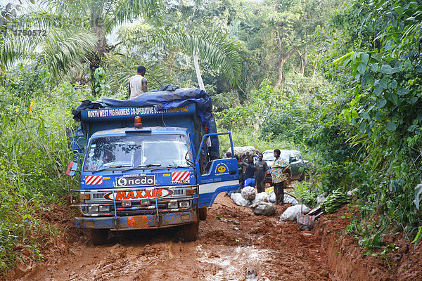In Schlamm festgefahrener Lastwagen  Urwald-Piste  Bamenda  Kamerun  Afrika