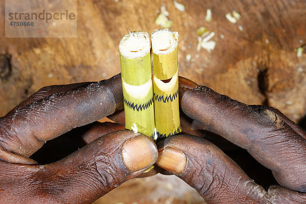 Herstellung von Bambuspfeifen  Bafut  Kamerun  Afrika