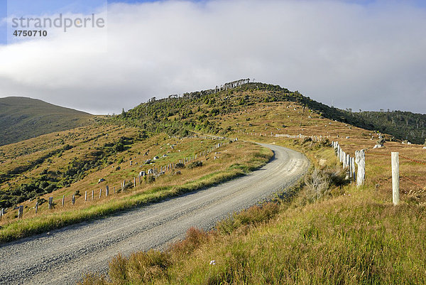 Summit Road von Little River nach Port Levy  Banks Peninsula  Christchurch  Südinsel  Neuseeland