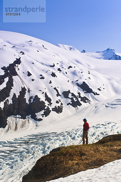 Männlich Wanderer übersieht Exit Gletscher und Harding Icefield die von einem Felsvorsprung auf Harding Icefield Trail  Kenai Fjords National Park  Kenai-Halbinsel  Südalaska  Frühling