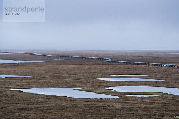 Luftaufnahme der Trans-Alaska Pipeline Überschreiten der Tundra der Küstenebene  Prudhoe Bay  Alaska Arktis  Sommer
