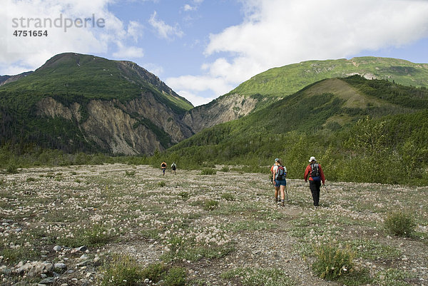 Gruppe der Wanderer auf dem Sediment Creek entlang des Tatshenshini River in Tatshenshini-Alsek Provincial Park  British Columbia  Kanada  Sommer
