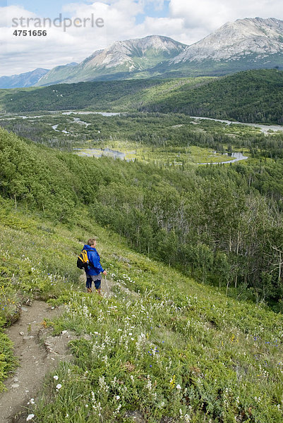 Männlich Wanderer auf dem Sediment Creek entlang des Tatshenshini River  in Tatshenshini-Alsek Provincial Park  British Columbia  Kanada  Sommer