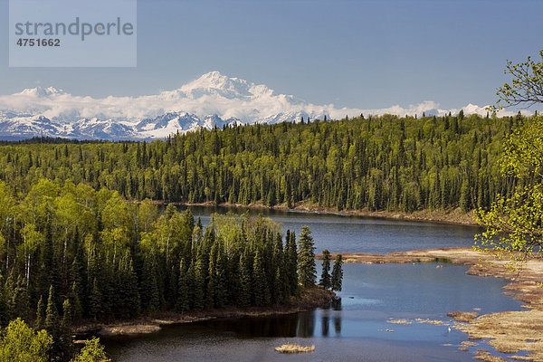 Szenische Ansicht des Berges. McKinley und Fish Lake in der Nähe von Talkeetna  Südalaska  Sommer