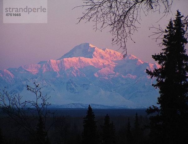 Scenic Alpenglühen Sicht von Mt.. McKinley bei Sonnenaufgang in der Nähe von Talkeetna  Südalaska  Winter