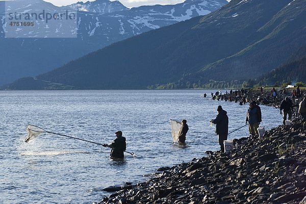 Wasserrand angeln Turnagain Arm Kerzenfisch Thaleichthys pacificus Linie