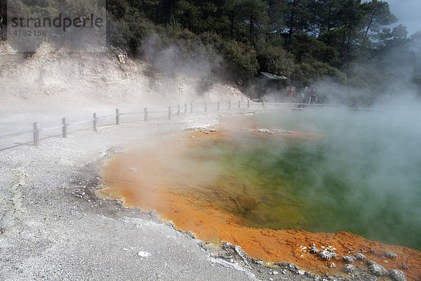 Der Champagne Pool  eine Geothermalquelle im Thermalgebiet Wai-O-Tapu  Bay of Plenty  Neuseeland