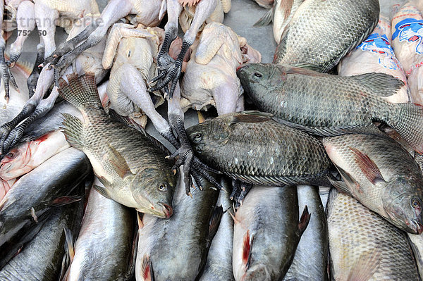 Fische und Hühner auf dem Lebensmittelmarkt  Luang Prabang  Laos  Südostasien  Asien
