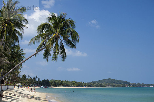 Strand von Maenam  auch Ao Menam  Hat Mae Nam  Kho Samui  Provinz Surat Thani  Thailand  Asien